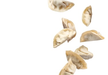 Image of Uncooked gyoza in air on white background