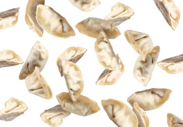 Image of Uncooked gyoza in air on white background