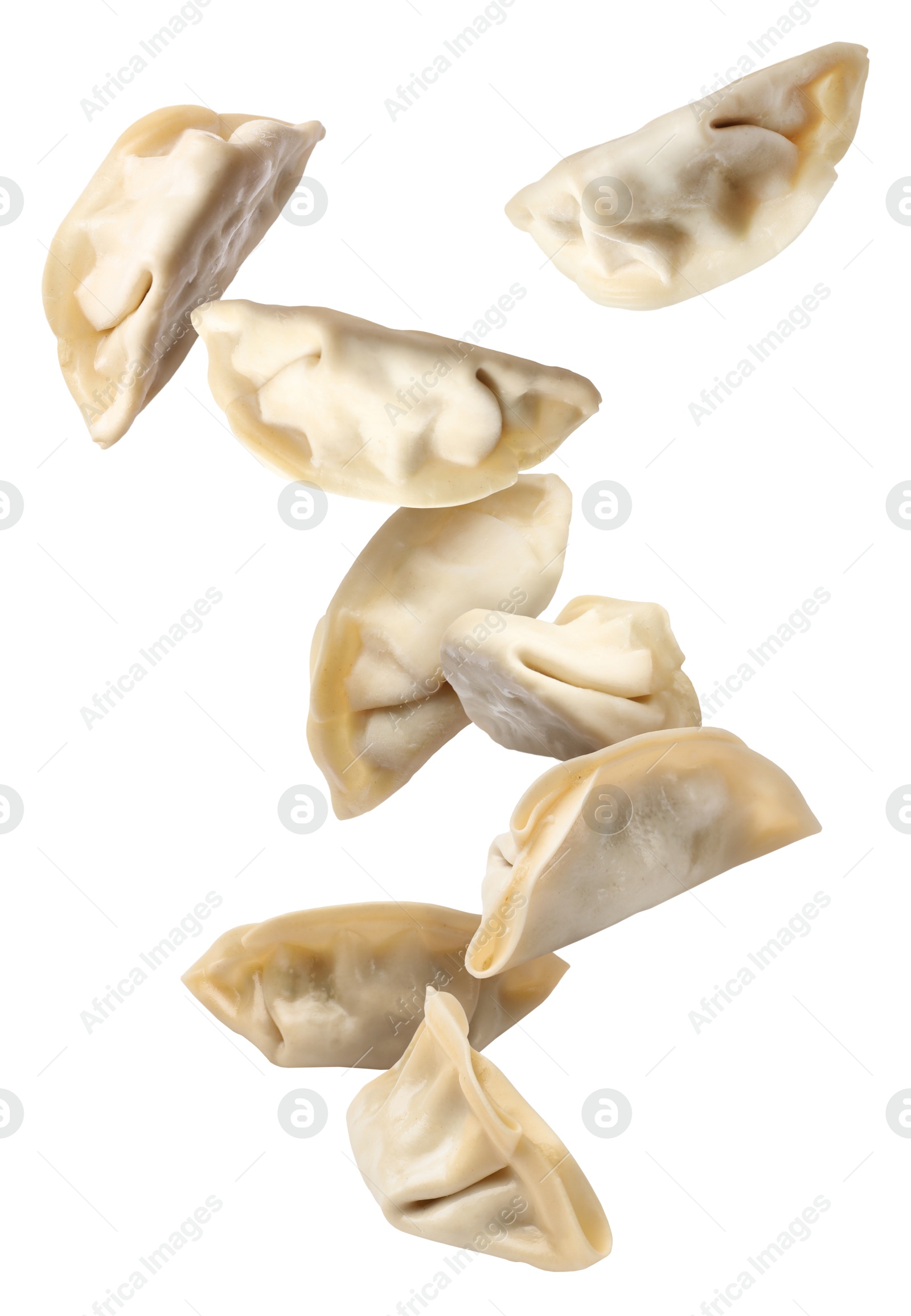 Uncooked gyoza in air on white background Image of Uncooked gyoza in air on white background