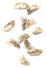 Image of Uncooked gyoza in air on white background