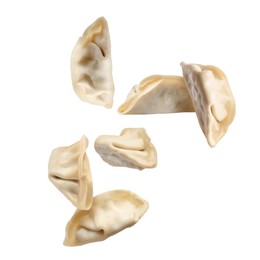 Image of Uncooked gyoza in air on white background