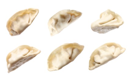 Image of Set of uncooked gyoza on white background