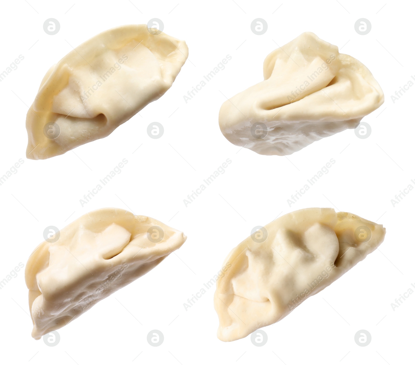 Set of uncooked gyoza on white background Image of Set of uncooked gyoza on white background
