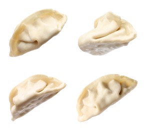 Image of Set of uncooked gyoza on white background