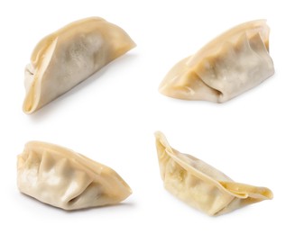 Image of Set of uncooked gyoza on white background