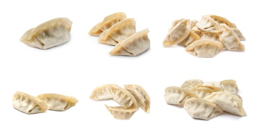 Image of Set of uncooked gyoza on white background