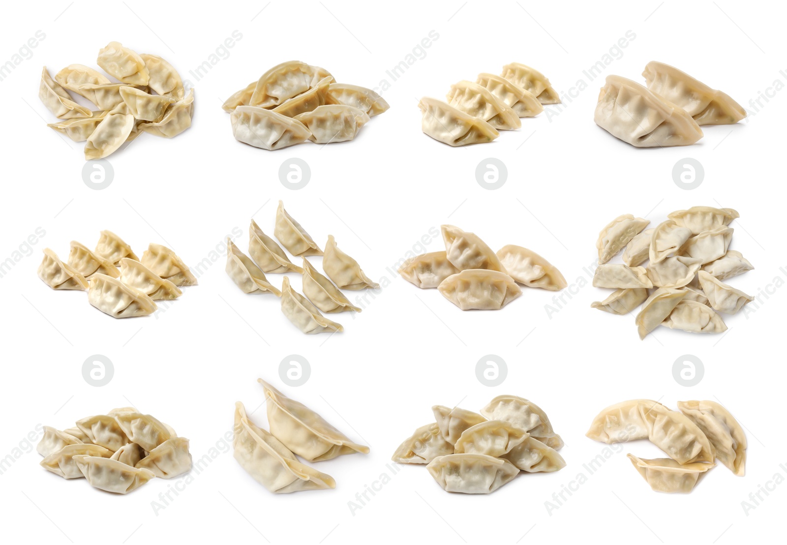 Set of uncooked gyoza on white background Image of Set of uncooked gyoza on white background