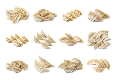 Image of Set of uncooked gyoza on white background