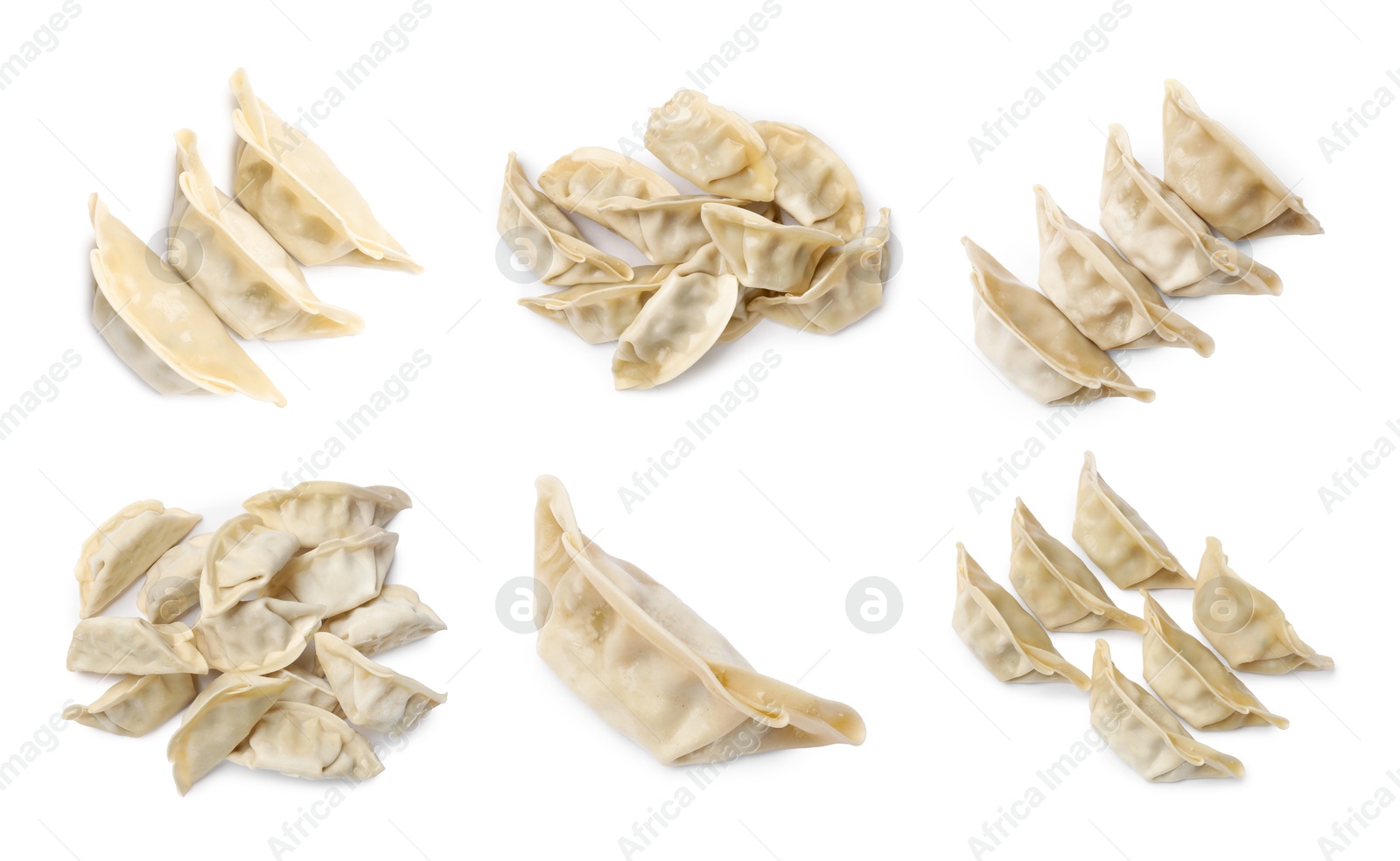 Set of uncooked gyoza on white background Image of Set of uncooked gyoza on white background