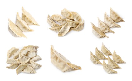 Image of Set of uncooked gyoza on white background