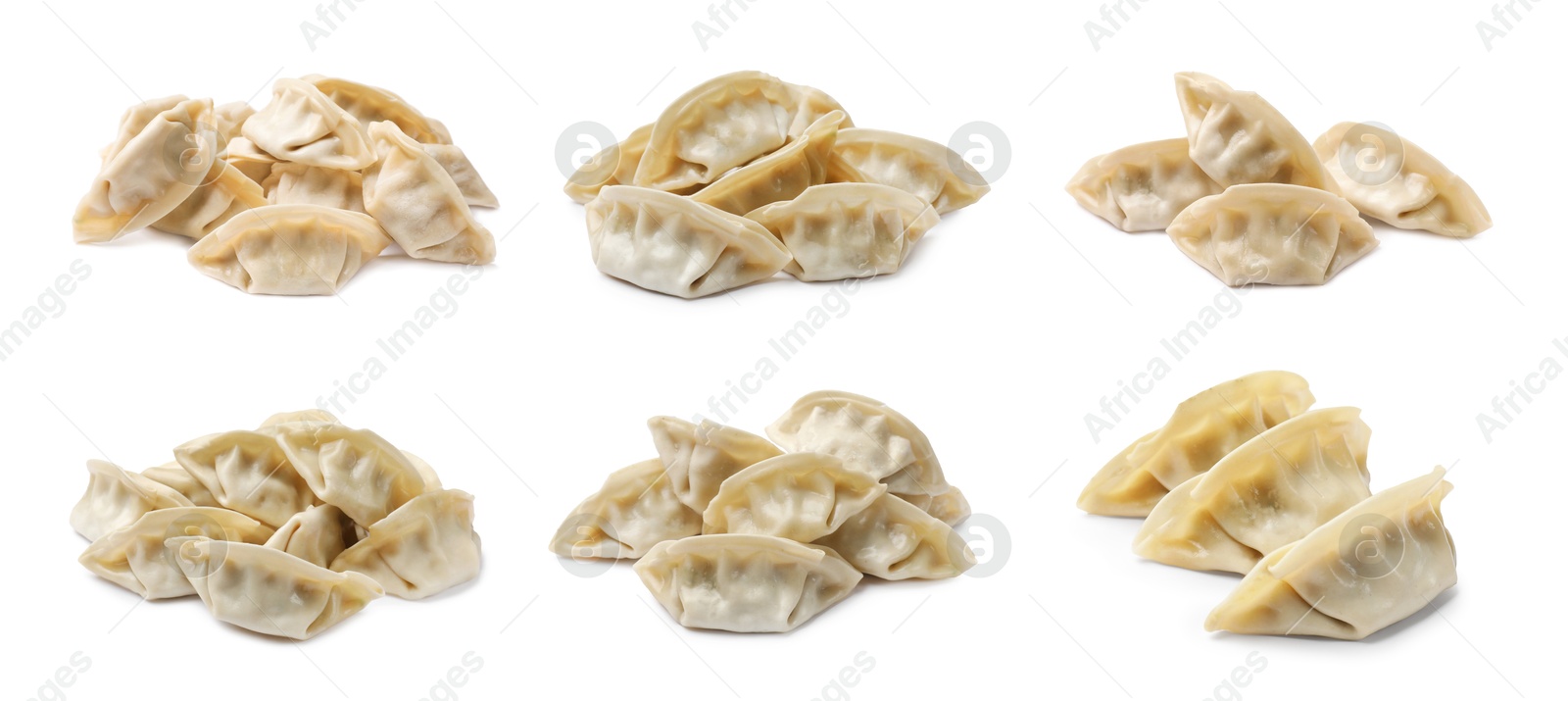 Set of uncooked gyoza on white background Image of Set of uncooked gyoza on white background