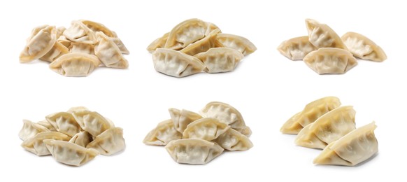 Image of Set of uncooked gyoza on white background
