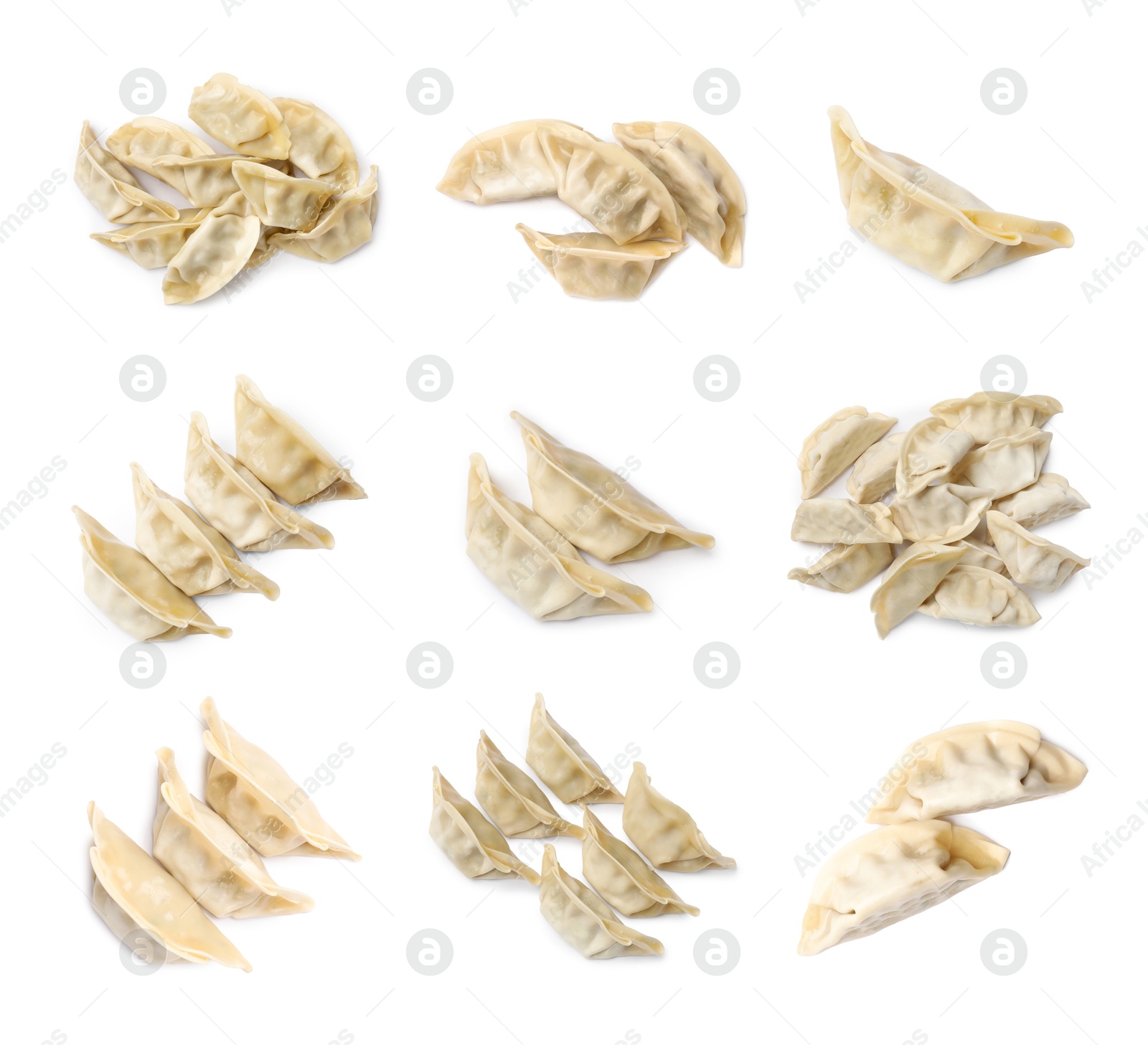 Set of uncooked gyoza on white background Image of Set of uncooked gyoza on white background