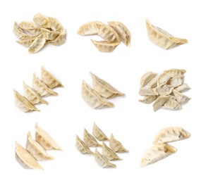 Image of Set of uncooked gyoza on white background