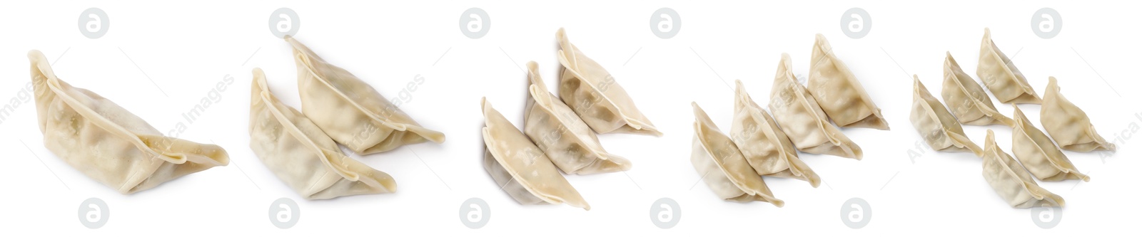 Set of uncooked gyoza on white background Image of Set of uncooked gyoza on white background