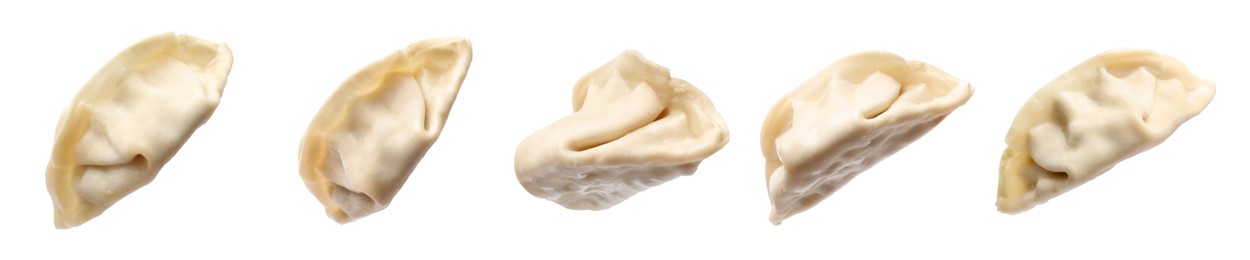 Image of Set of uncooked gyoza on white background