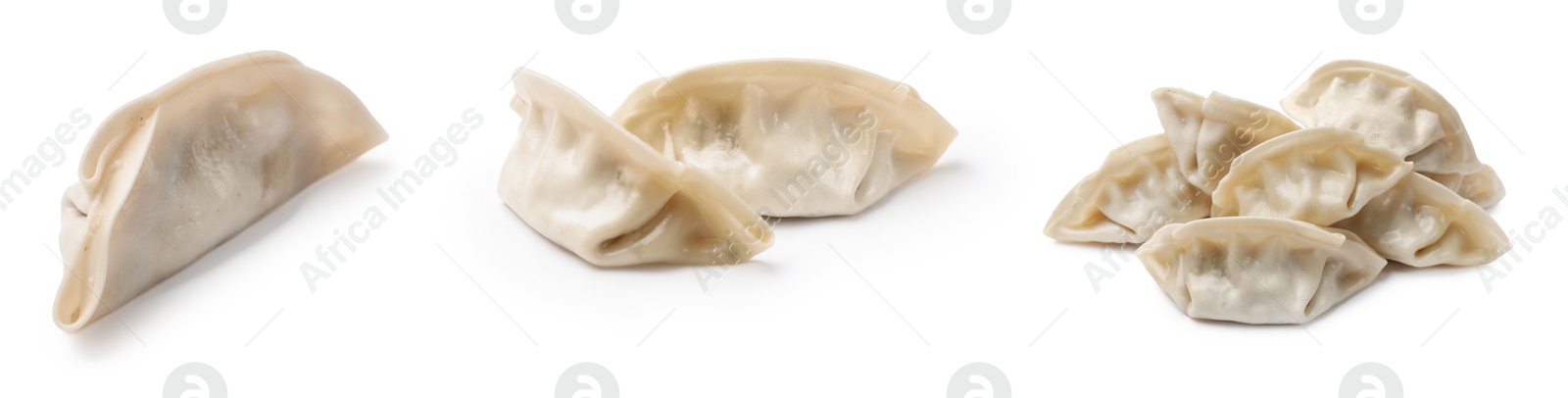 Set of uncooked gyoza on white background Image of Set of uncooked gyoza on white background