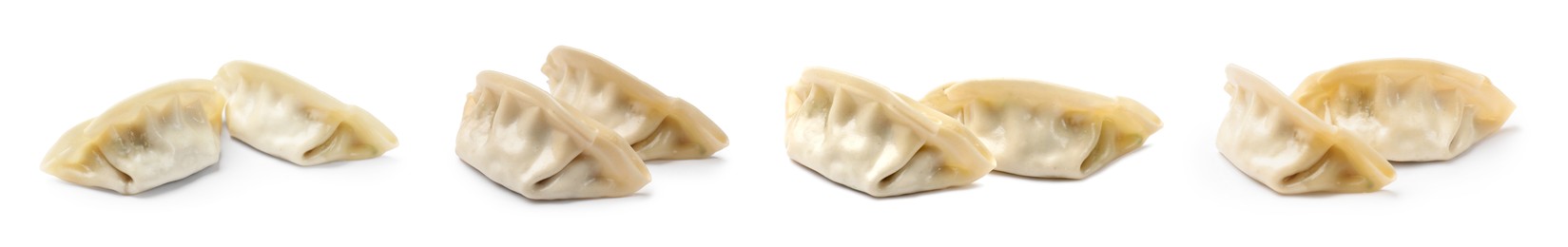 Image of Set of uncooked gyoza on white background