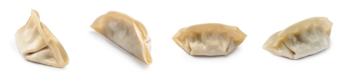 Image of Set of uncooked gyoza on white background
