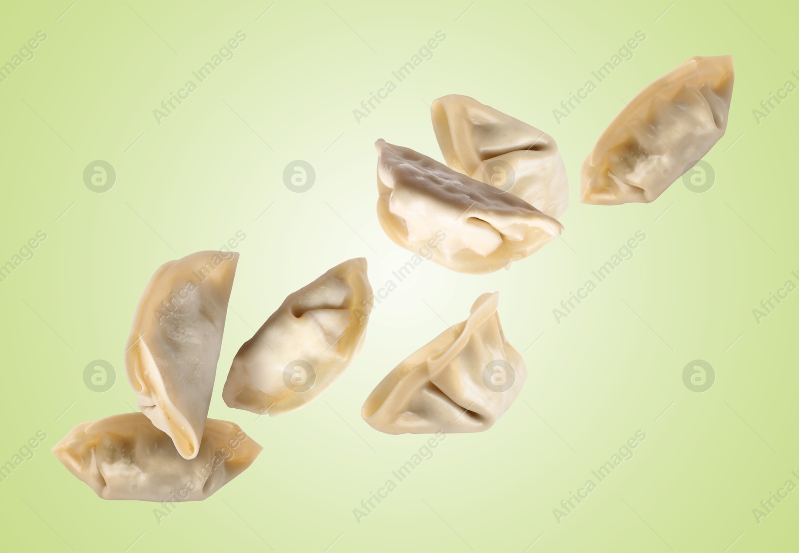 Uncooked gyoza in air on light green background Image of Uncooked gyoza in air on light green background