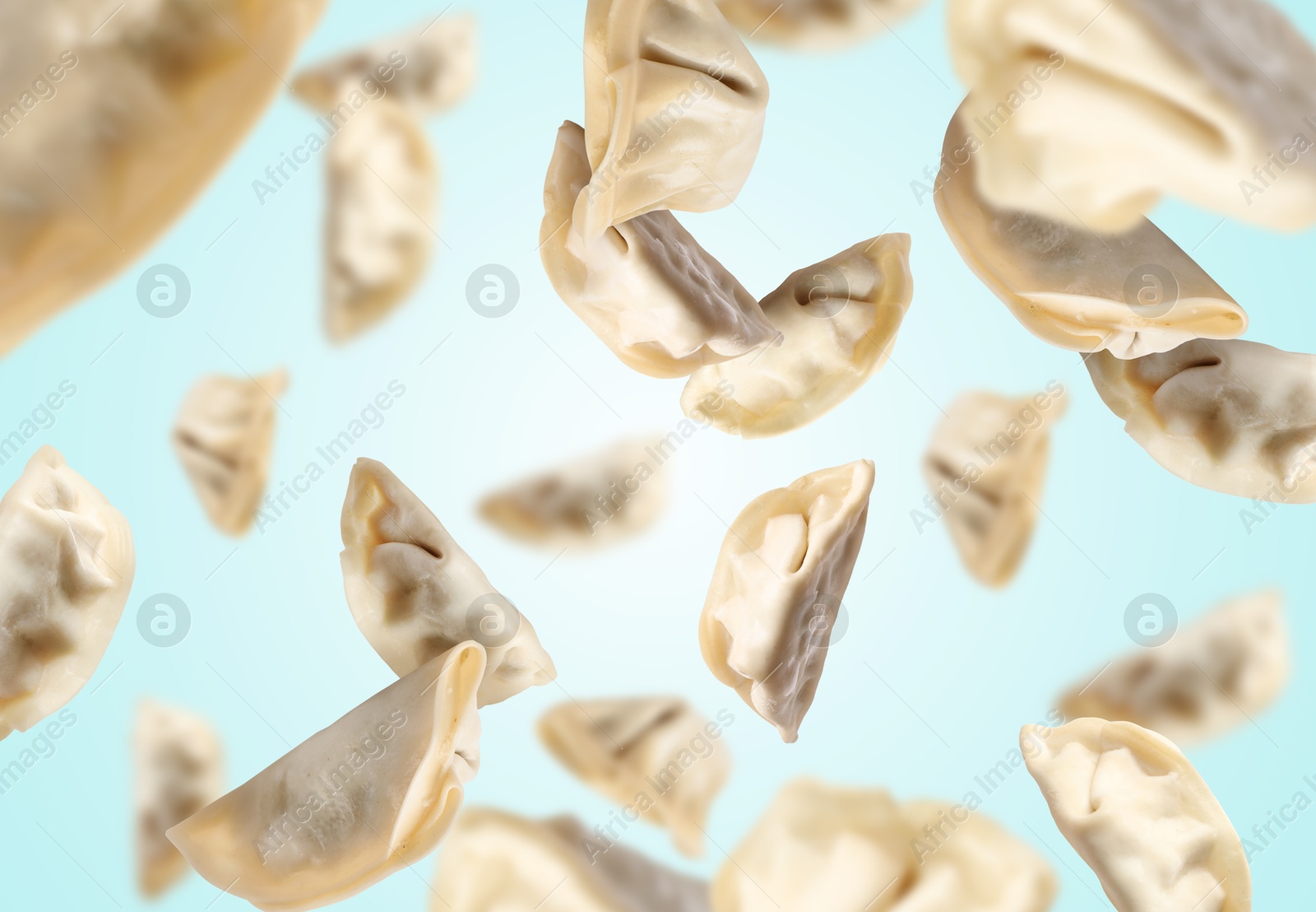 Uncooked gyoza in air on light blue background Image of Uncooked gyoza in air on light blue background