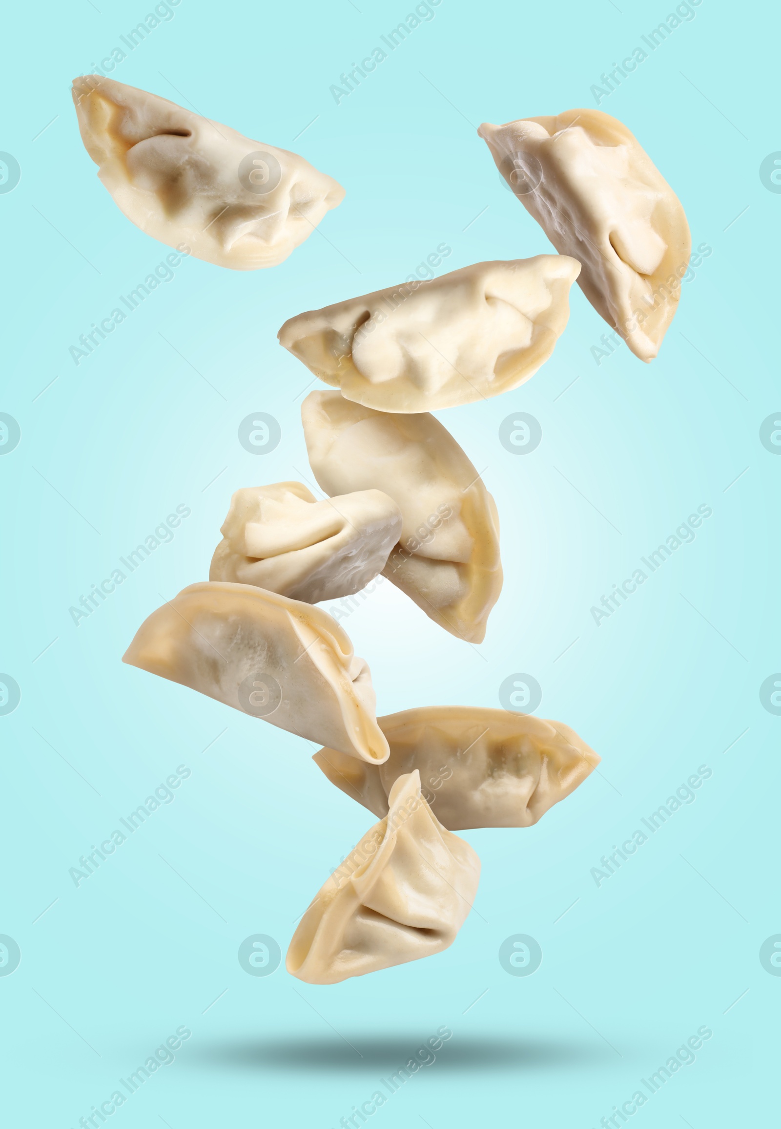 Uncooked gyoza falling on light blue background Image of Uncooked gyoza falling on light blue background