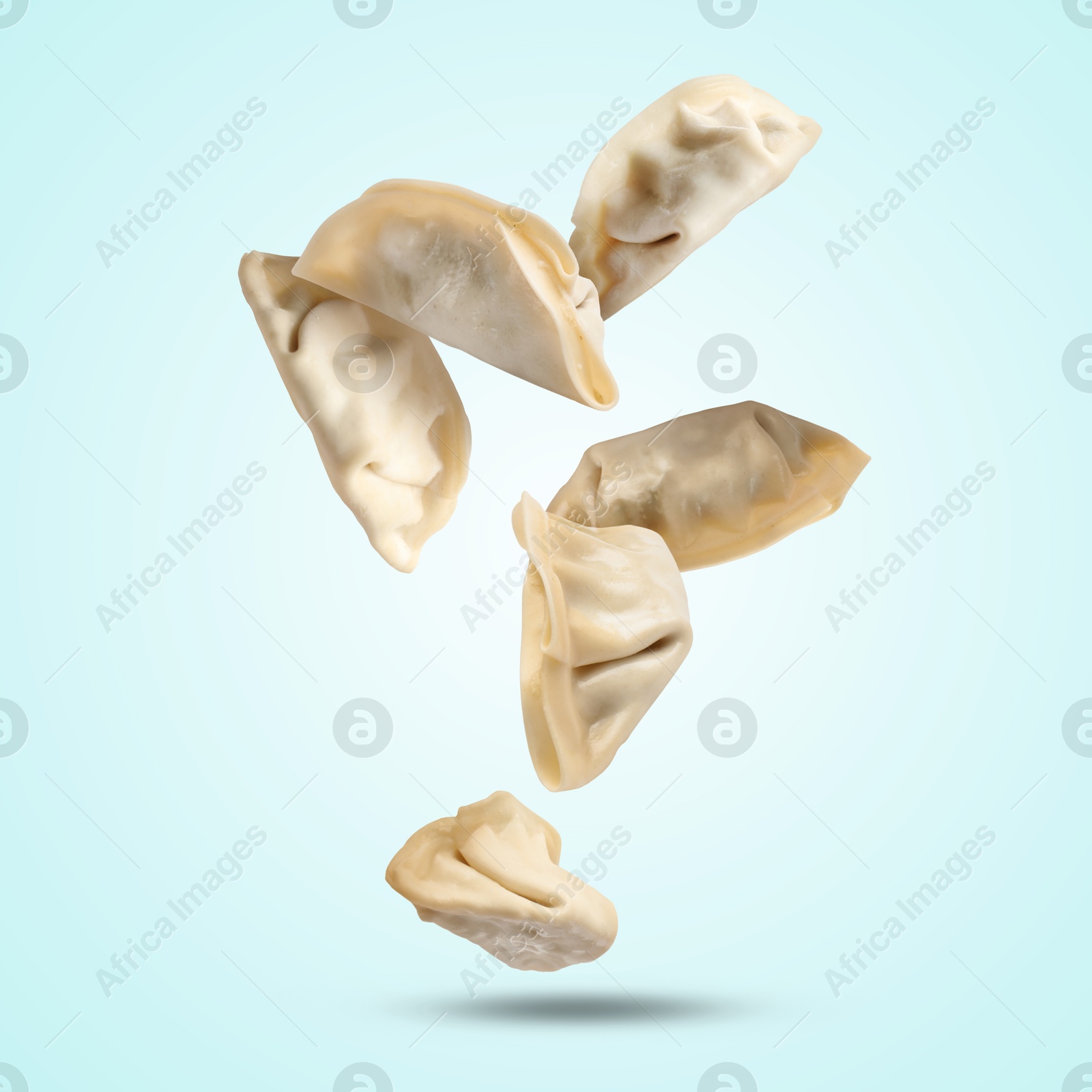 Uncooked gyoza falling on light blue background Image of Uncooked gyoza falling on light blue background