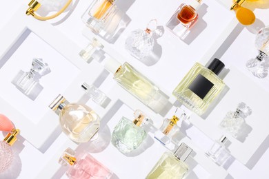 Photo of Different luxury perfumes on white background, flat lay