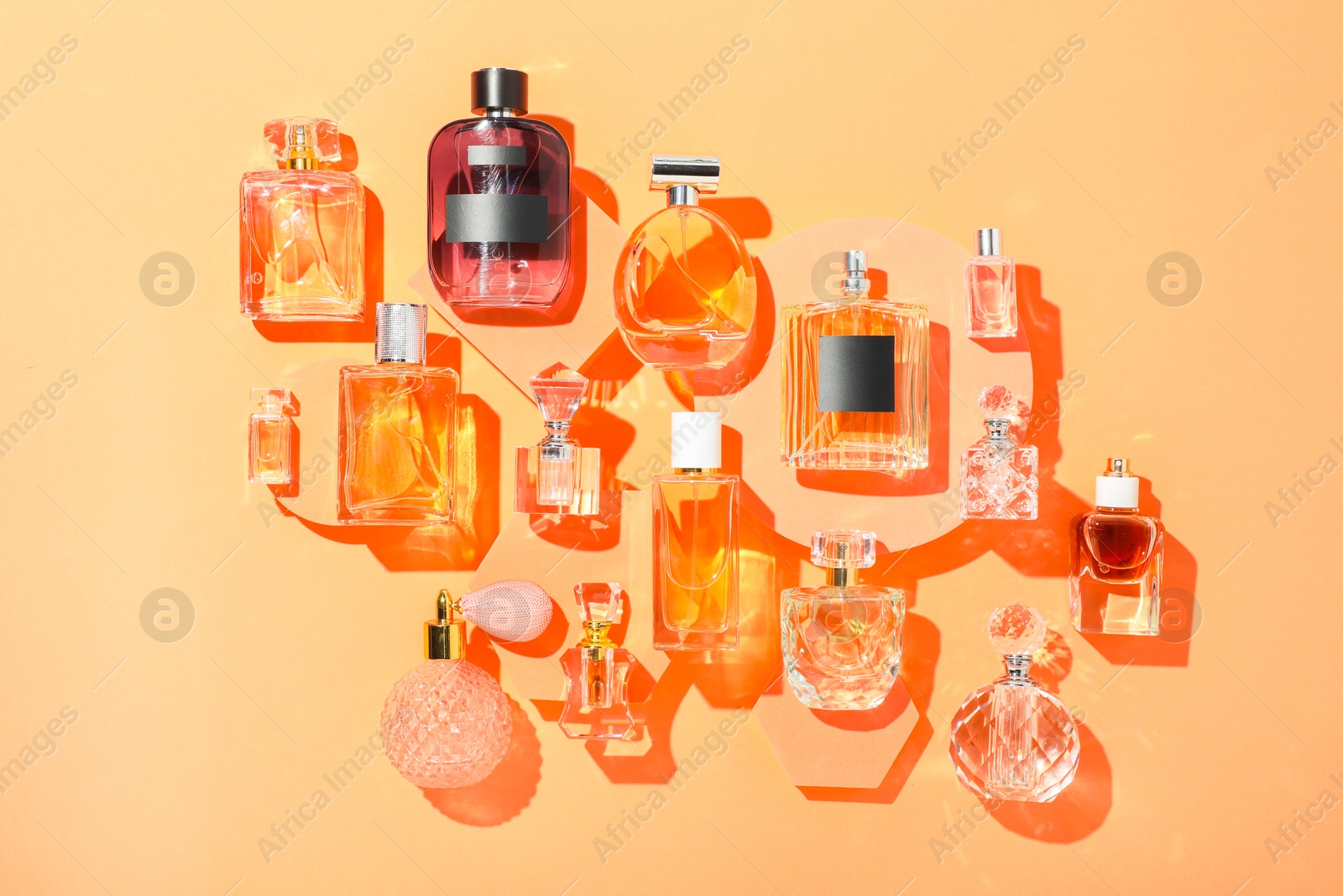 Different luxury perfumes on beige background, flat lay Photo of Different luxury perfumes on beige background, flat lay