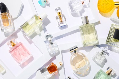 Photo of Different luxury perfumes on white background, flat lay