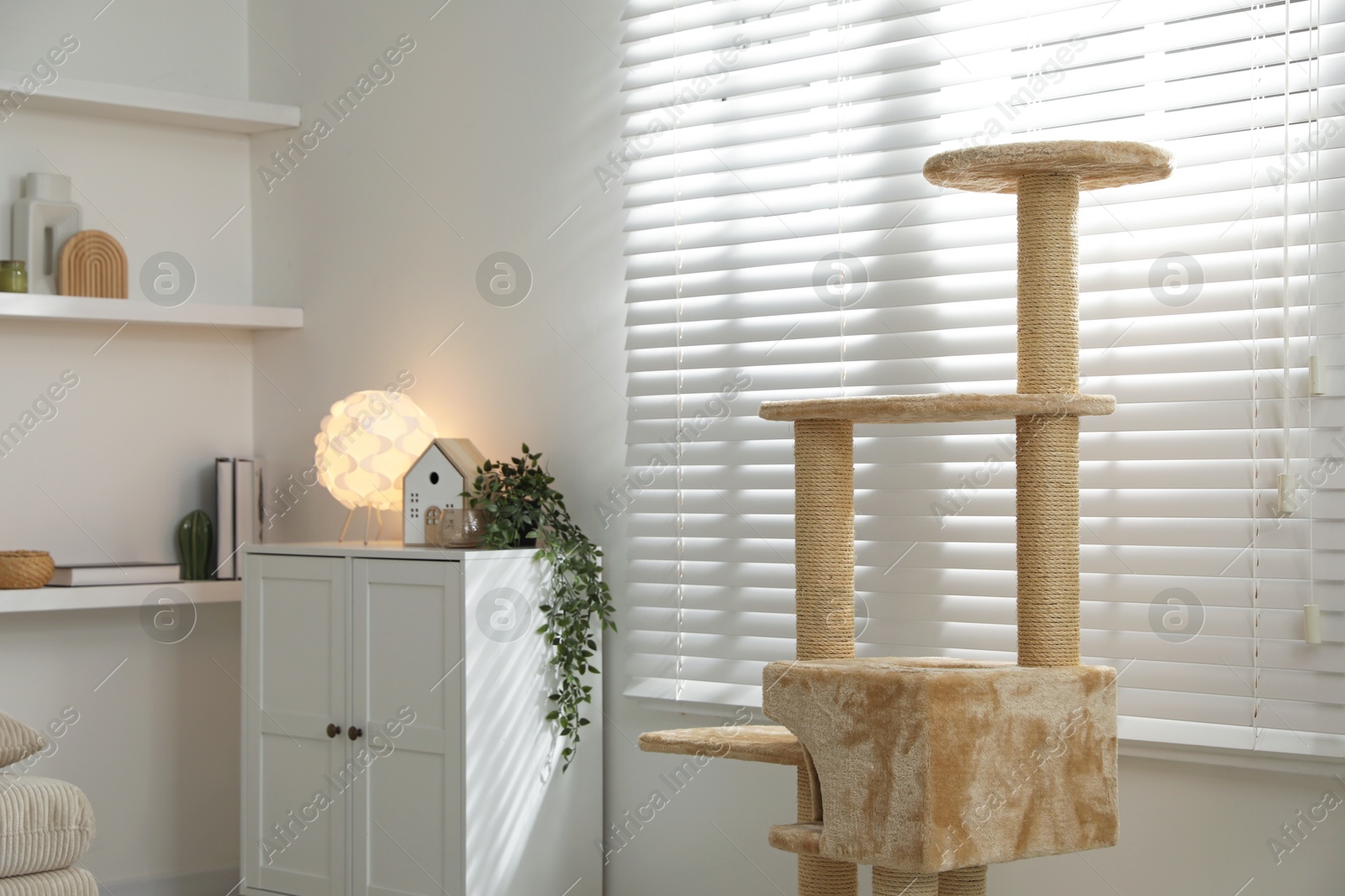 Stylish cat tree and chest of drawers in living room Photo of Stylish cat tree and chest of drawers in living room