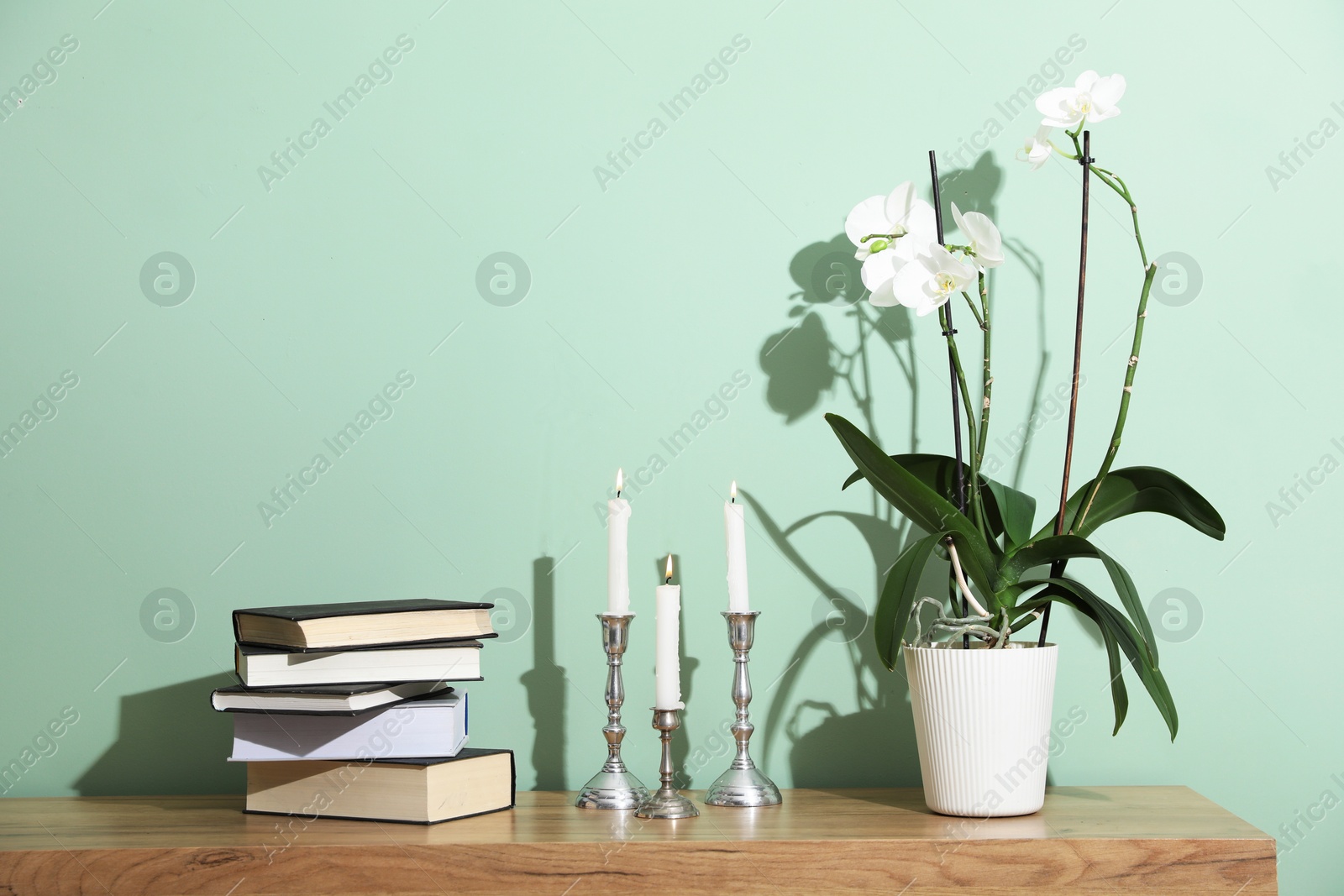 Houseplant and other decor on wooden cabinet near green wall indoors Photo of Houseplant and other decor on wooden cabinet near green wall indoors