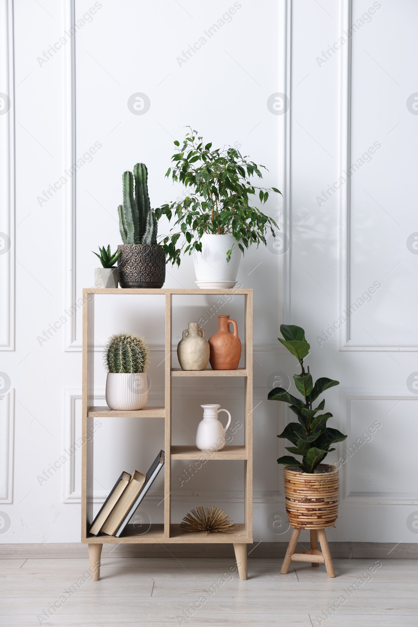 Shelving unit with houseplants and other decor near white wall Photo of Shelving unit with houseplants and other decor near white wall