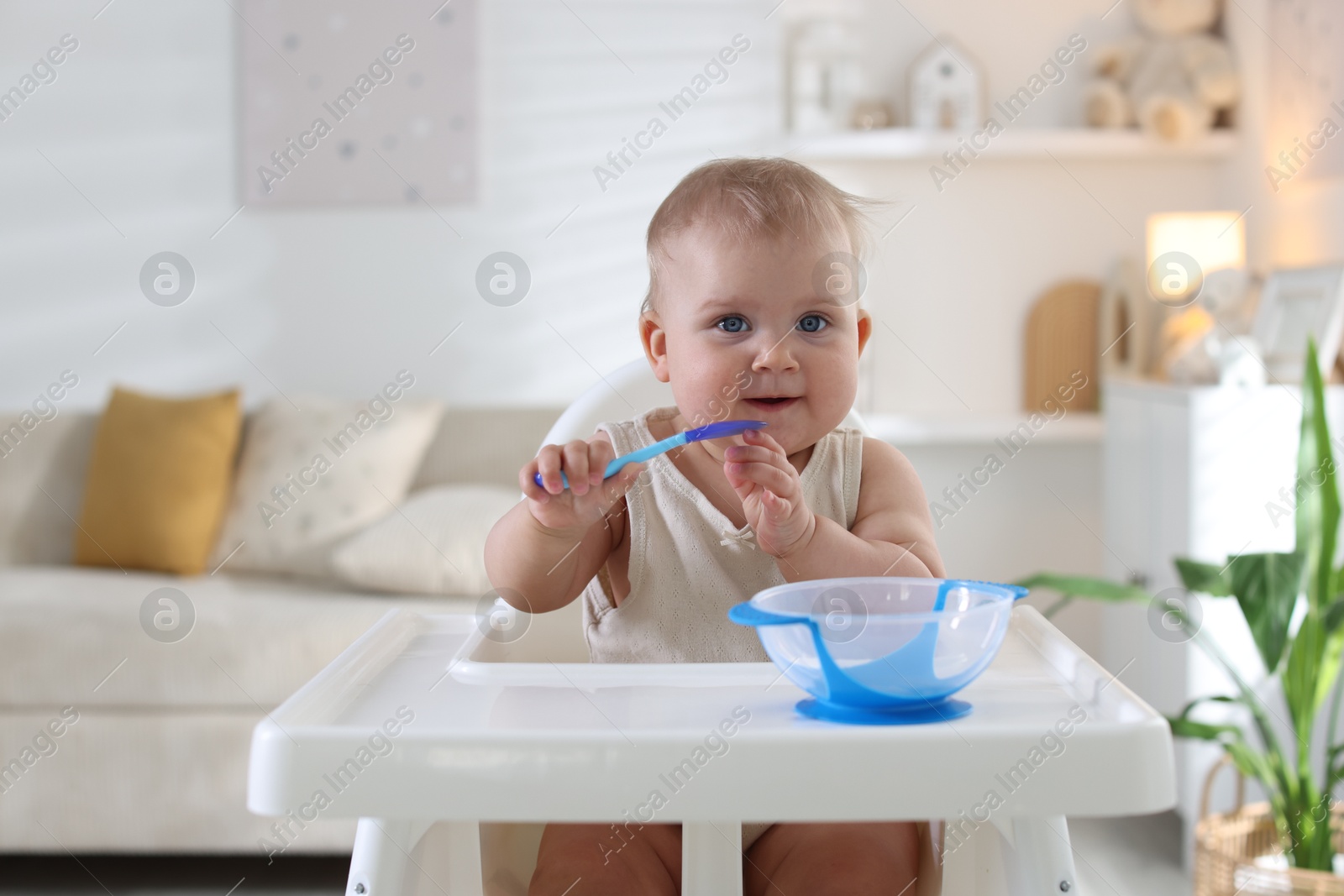 Cute little baby eating with spoon on feeding chair at home Photo of Cute little baby eating with spoon on feeding chair at home