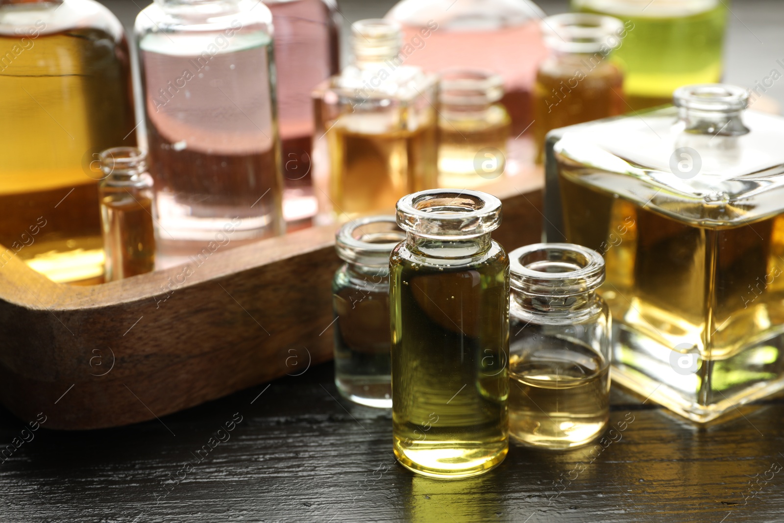 Photo of Perfume bottles with aromatic oils on black wooden background, closeup