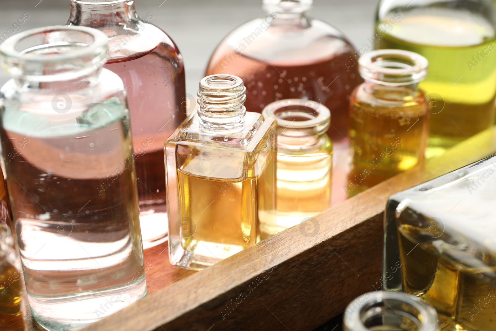 Perfume bottles with aromatic oils on background, closeup Photo of Perfume bottles with aromatic oils on background, closeup