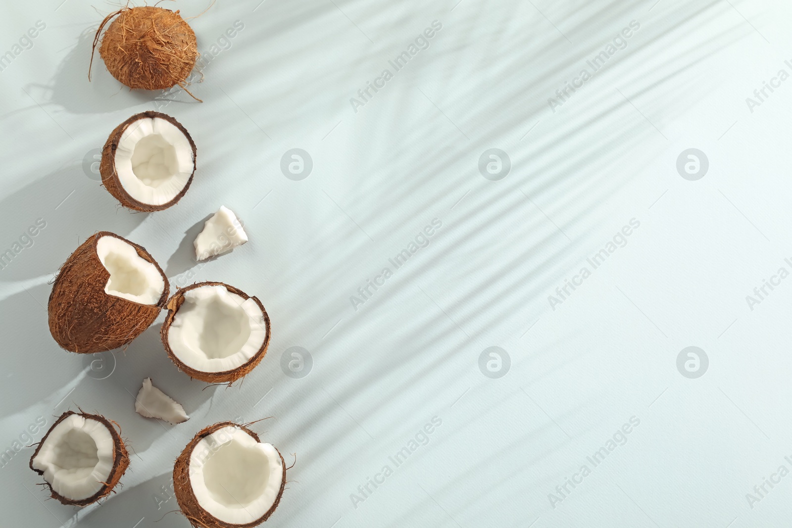 Fresh coconuts and shadow cast by tropical palm on light background, flat lay. Space for text Photo of Fresh coconuts and shadow cast by tropical palm on light background, flat lay. Space for text