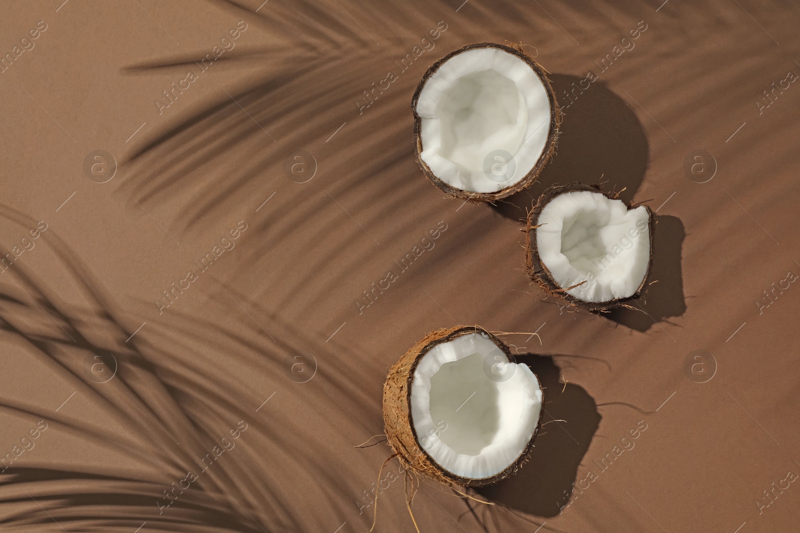 Fresh coconut and shadow cast by tropical palm on beige background, flat lay. Space for text Photo of Fresh coconut and shadow cast by tropical palm on beige background, flat lay. Space for text