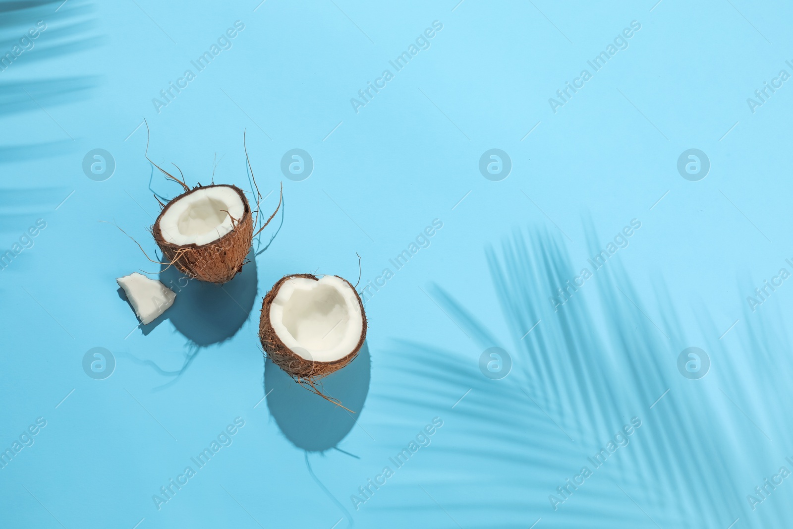 Fresh coconut and shadow cast by tropical palm on light blue background, top view. Space for text Photo of Fresh coconut and shadow cast by tropical palm on light blue background, top view. Space for text