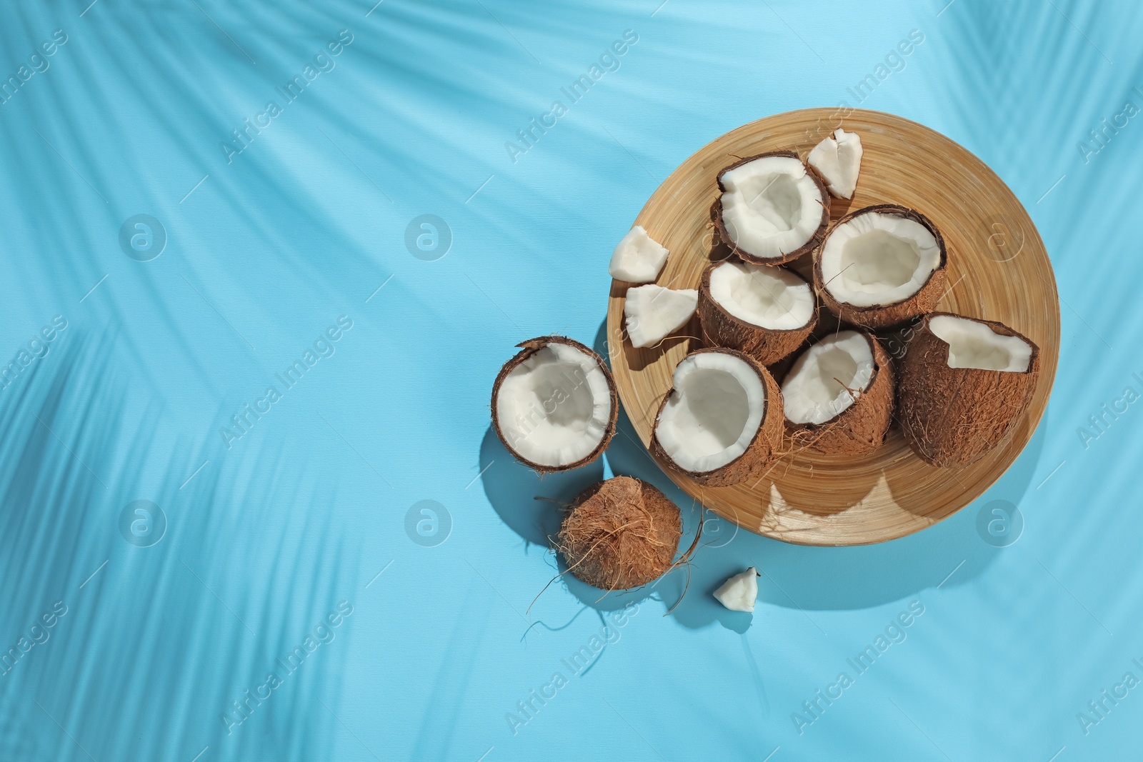 Fresh coconuts and shadow cast by tropical palm on light blue background, flat lay. Space for text Photo of Fresh coconuts and shadow cast by tropical palm on light blue background, flat lay. Space for text