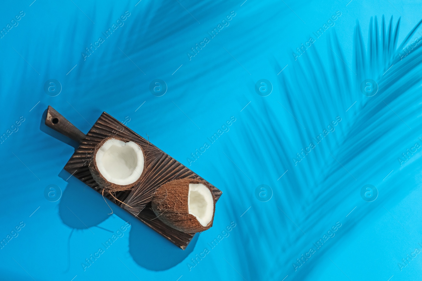Fresh coconut and shadow cast by tropical palm on light blue background, top view. Space for text Photo of Fresh coconut and shadow cast by tropical palm on light blue background, top view. Space for text