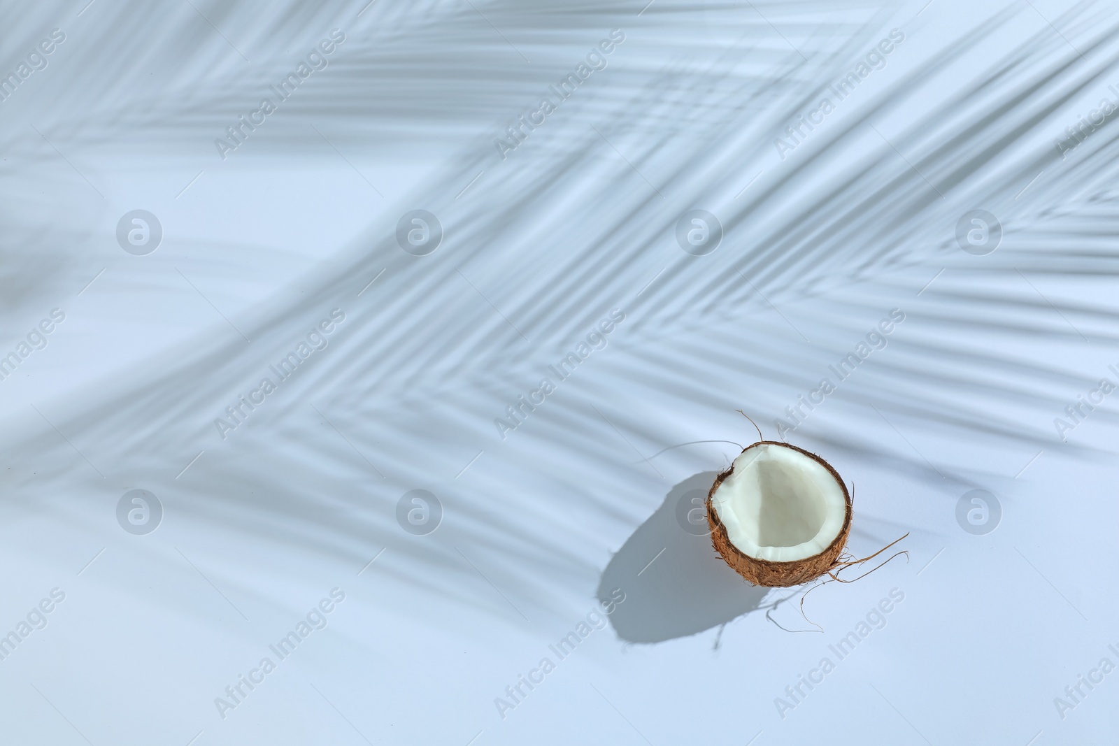 Half of fresh coconut and shadow cast by tropical palm on light grey background, top view. Space for text Photo of Half of fresh coconut and shadow cast by tropical palm on light grey background, top view. Space for text