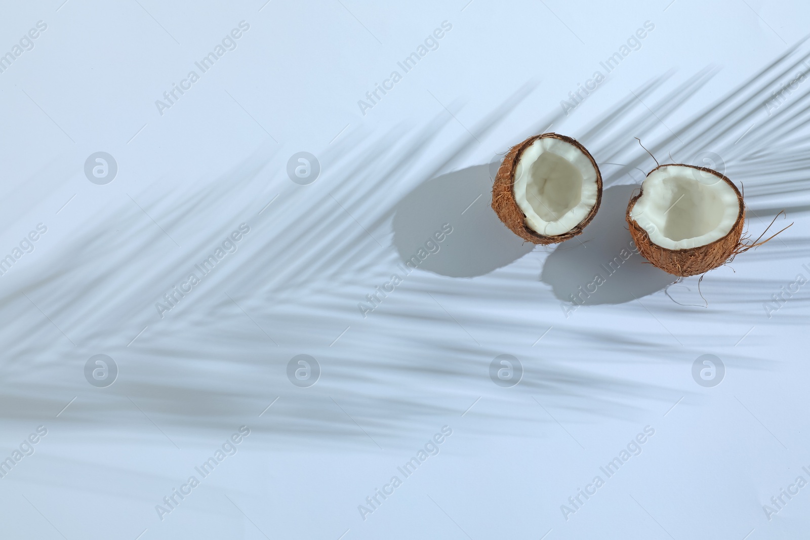Fresh coconut and shadow cast by tropical palm on light grey background, top view. Space for text Photo of Fresh coconut and shadow cast by tropical palm on light grey background, top view. Space for text