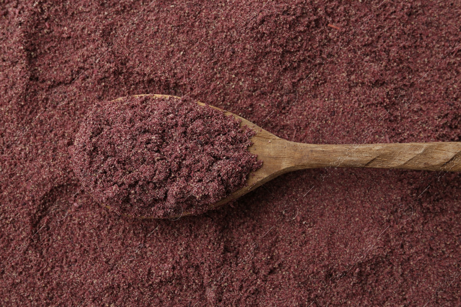 Superfood. Black currant powder and spoon, top view Photo of Superfood. Black currant powder and spoon, top view