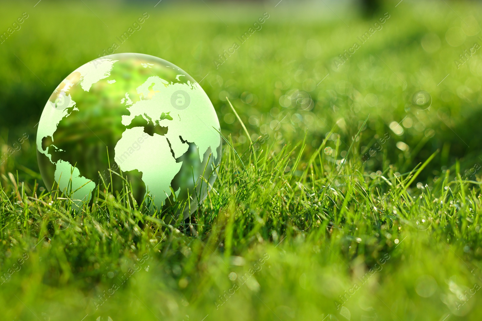 Earth globe in glass ball on green grass outdoors. Concept of environment protection Image of Earth globe in glass ball on green grass outdoors. Concept of environment protection