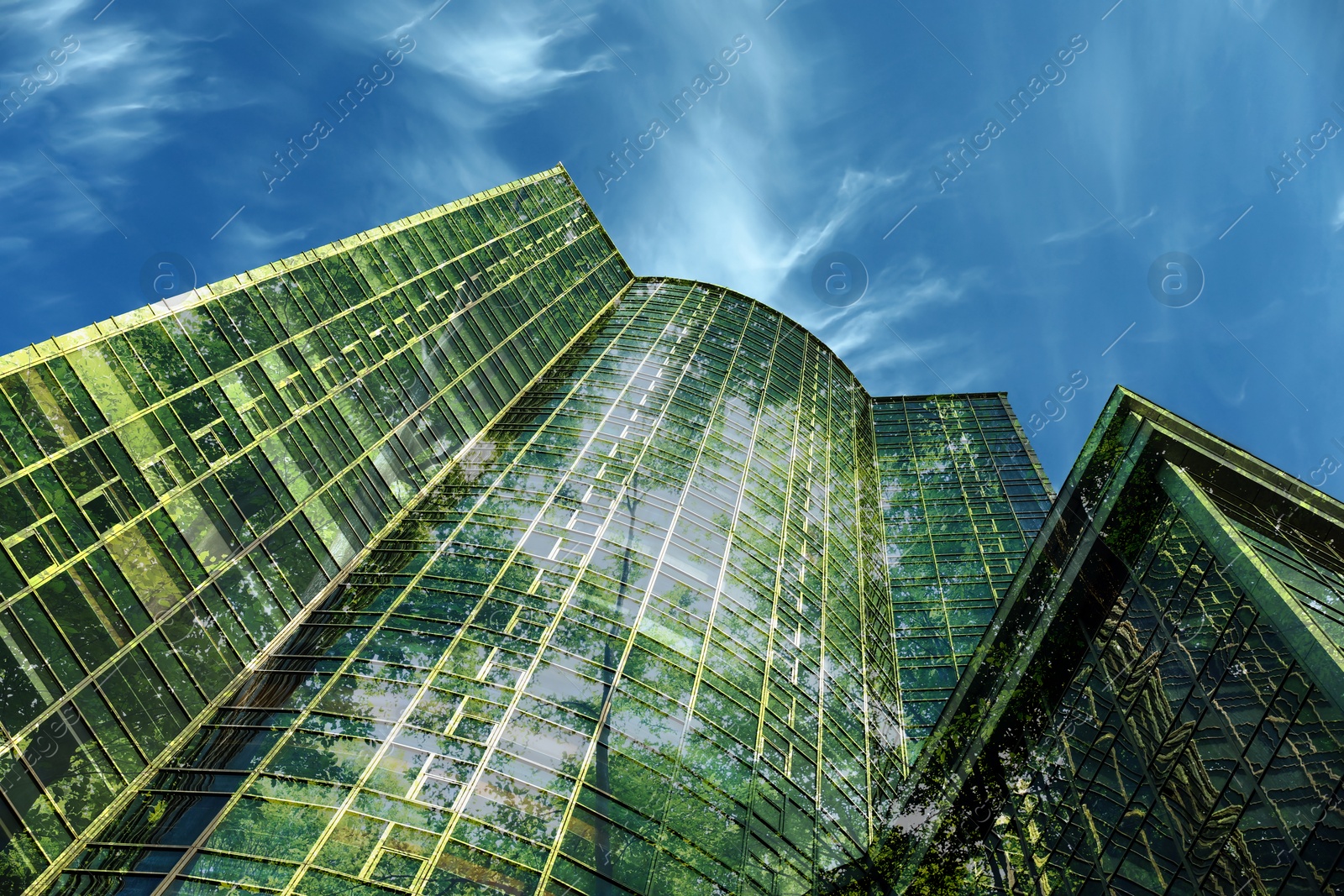 Modern skyscrapers and lush trees against blue sky, double exposure. Low angle view Image of Modern skyscrapers and lush trees against blue sky, double exposure. Low angle view