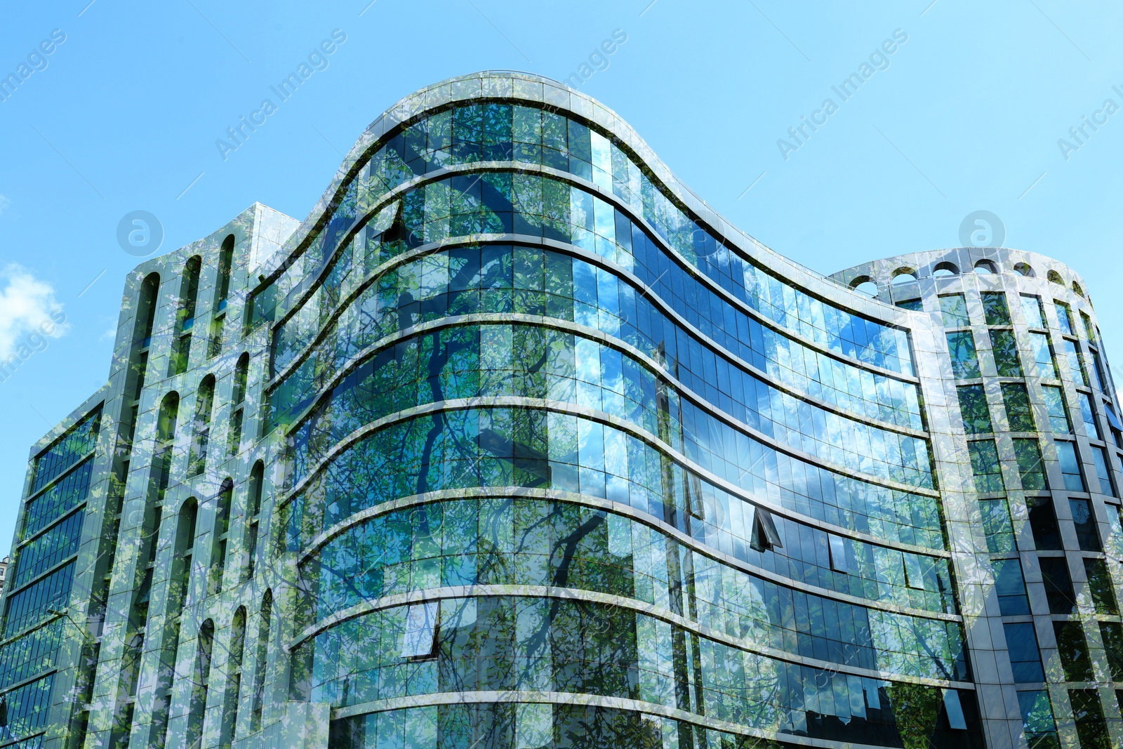 Modern building and green tree against blue sky, double exposure. Low angle view Image of Modern building and green tree against blue sky, double exposure. Low angle view