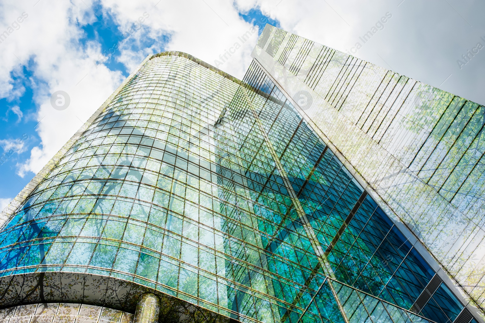 Modern skyscrapers and lush trees against blue sky, double exposure. Low angle view Image of Modern skyscrapers and lush trees against blue sky, double exposure. Low angle view