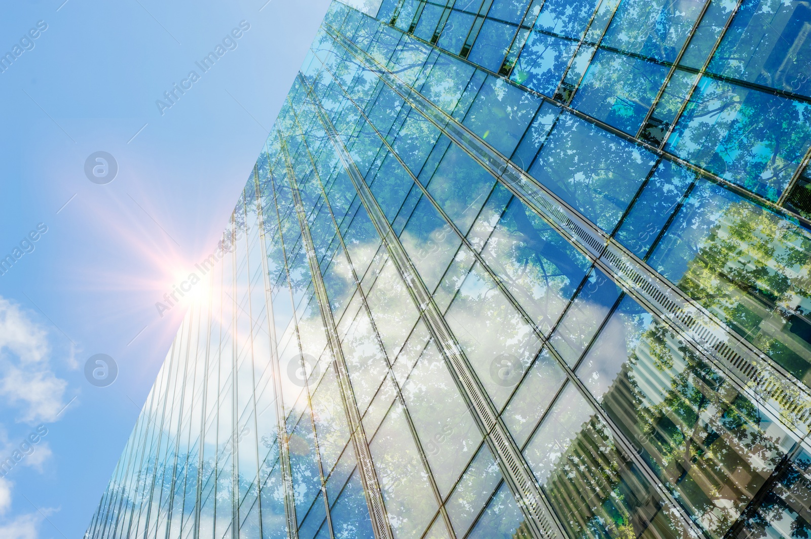 Modern skyscraper and lush trees against blue sky, double exposure. Low angle view Image of Modern skyscraper and lush trees against blue sky, double exposure. Low angle view