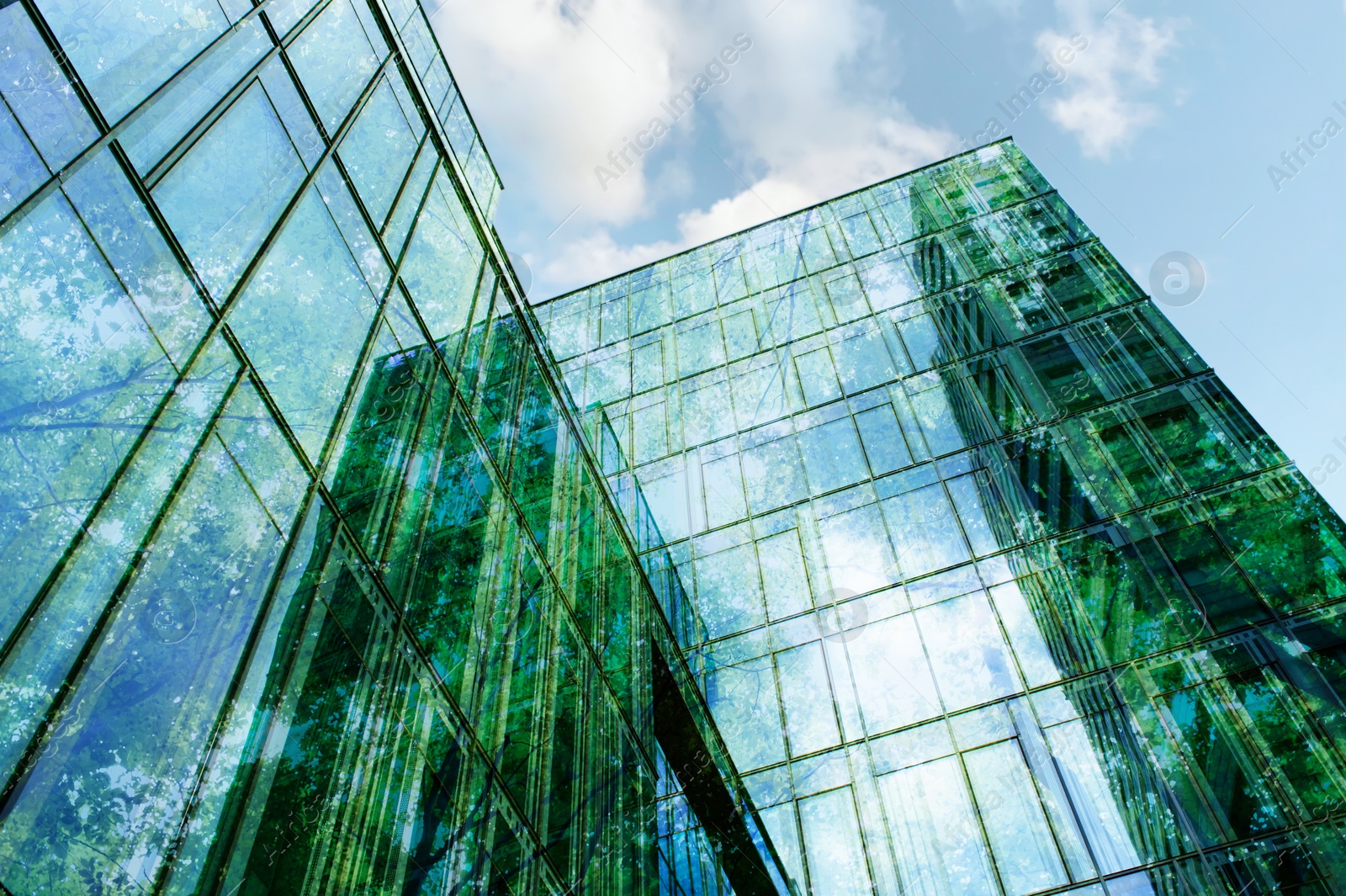 Modern building and lush trees against blue sky, double exposure. Low angle view Image of Modern building and lush trees against blue sky, double exposure. Low angle view